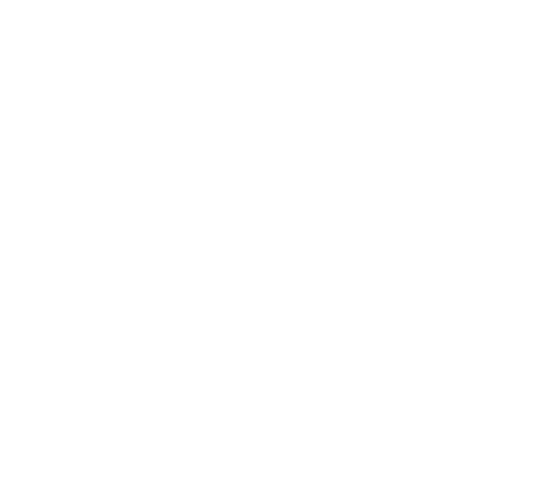 Burnt Ends Logo